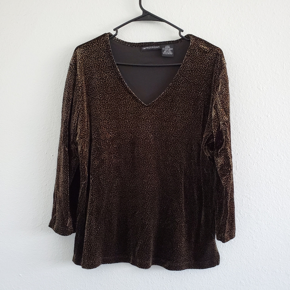 Impressions Velvet Blouse